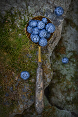 Blueberries in an old silver spoon, vintage style on an old stone background. Soft, selective focus.