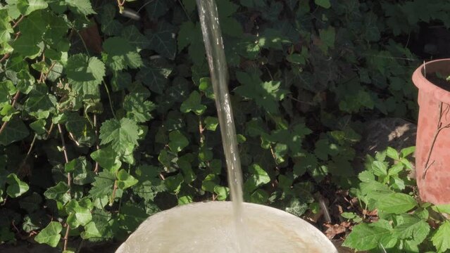 Clean water with strong pressure from tap, flows into crowded bucket against background of greenery. Slight slow movement of camera switches attention from pressure of water to bucket.