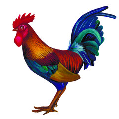 watercolor rooster