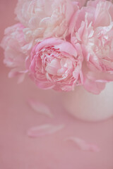 Bouquet of peonies in a vase on a delicate pink background close-up. Selective focus