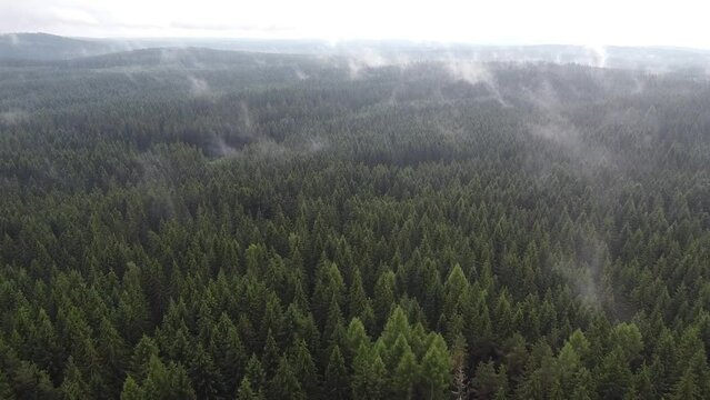 drone footage over foggy huge forest breaking trough the clouds