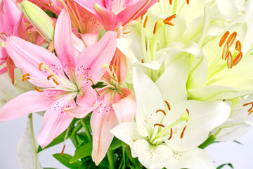 Bouquet of pink and white lilies.