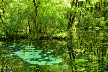 Fototapeta premium Niebieskie Zrodla or Blue Springs, famous for two pools fed by an underground spring which seem to shimmer at the bottom due to the action of entering water.