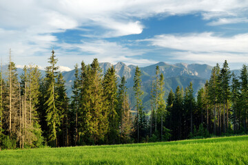 Aerial view of Tatra Mountains taken from the Gubalowka mountain range. High mountains and green hills in summer or spring.