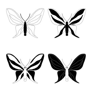 Species set, black and white butterfly insects, flat style.