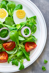 egg salad vegetable, tomato, onion, leaves lettuce green mix petals fresh healthy meal food snack diet on the table copy space food 