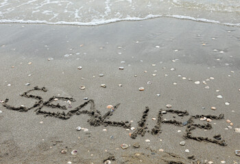 text with the word SEALIFE in capital letters on the sand of the beach