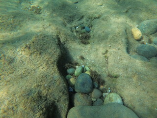 Introduction to the underwater world