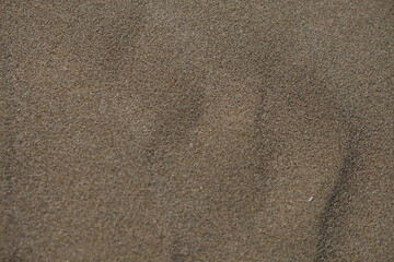 Sand from the beaches of Delta del Ebre