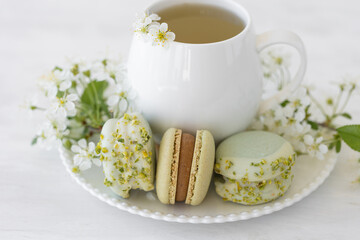 Traditional delicious French dessert - sweet homemade macarons on a vintage plate. Colourful tasty macaroons served on a white china with herbal tea. Decorated with fragile cherry tree flowers.