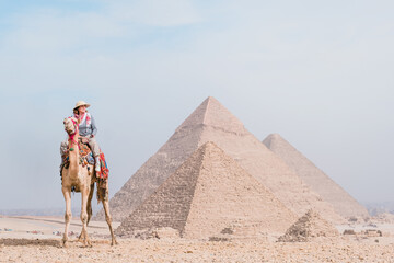  tourist woman riding a dromedary in front of pyramids. Egypt, Cairo - Giza - obrazy, fototapety, plakaty