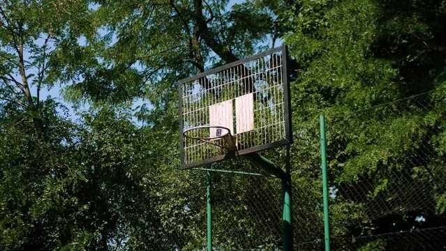 Stary zniszczony kosz do gry w koszyk&oacute;wkę, w parku w lesie