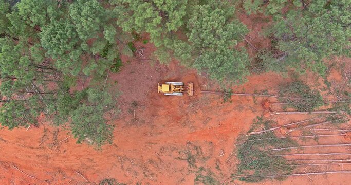 Deforestation and preparation of land for construction using a dozer to uprooting of trees an aerial top view