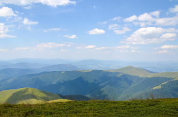 Naklejka premium Summer mountain landscape with grassy meadows and rolling hills covered with forest at the sunny afternoon. Carpathian Mountains, Ukraine
