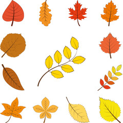Obraz premium autumn yellow color leaf icon in a collection with other items