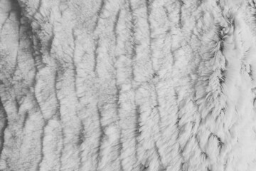 White wool texture fur background pattern warm abstract soft material fluffy animal nature skin light