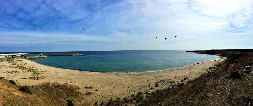 view from the beach