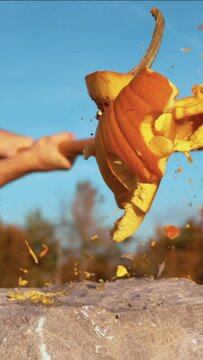 SUPER SLOW MOTION, CLOSE UP: Big carved pumpkin with a shocked face gets smashed on Halloween. Unrecognizable man destroying a scared Jack O'Lantern with a baseball bat.