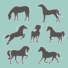 Gray horses sticker pack for design websites, applications or social network communication. Different dark stallions as stickers for web design.