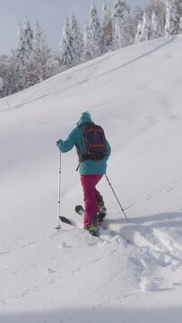 DRONE Fit Caucasian woman observes the beautiful snow covered nature while crossing the wintry landscape during ski touring trip to Bohinj. Active female tourist hikes along a hill while splitboarding