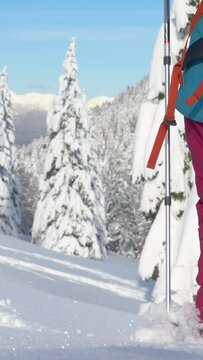 LOW ANGLE, CLOSE UP: Fit woman on a splitboarding trip in Slovenian mountains treads fresh powder snow. Unrecognizable female splitboarder hikes up a glistening snowy meadow on a sunny winter day.