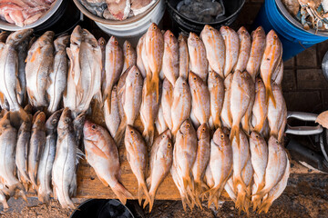 Top view of fresh fish for sale at the Bluefields dock market Nicaragua - obrazy, fototapety, plakaty