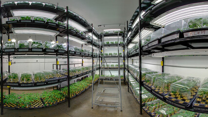 Indoor Marijuana Grow Facility | Cannabis Industry