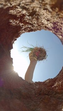 SLOW MOTION, BOTTOM UP, LENS FLARE, CLOSE UP: Person gardening on a sunny spring day plants a sapling in their small garden. Unrecognizable gardener plants a small tree in their sunlit backyard.