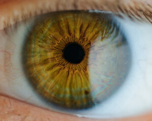 Eyeball Emporium 24