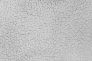 White sheep material wool fur soft structure fleece fabric background texture warm natural light nature skin