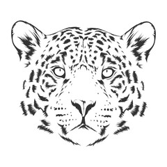 Animal illustration, leopard. black and white