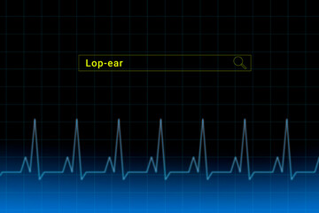 Lop-ear.Lop-ear inscription in search bar. Illustration with titled Lop-ear . Heartbeat line as a symbol of human disease.