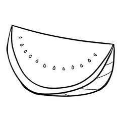 illustration of a watermelon