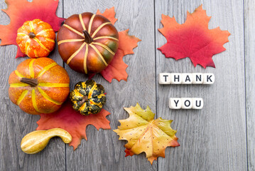 THANK YOU. wooden cubes with letters on a wooden table with fresh autumn pumpkins.