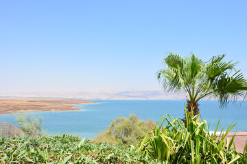 Fototapeta na wymiar Dead Sea, Holy Land, Israel