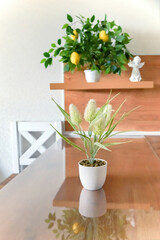 vertical photo of the kitchen interior with potted flowers