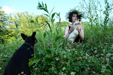 a girl in a wreath of wild flowers sits in the grass with a goose in her arms a dog sits next to