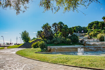 Fototapeta premium park in the city