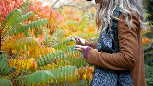 woman is feeling the leafs of some colourful autumn bushes