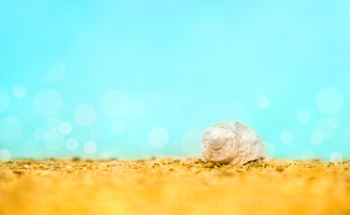 yellow-blue background with a shell on the sand