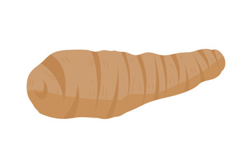 ginger icon isolated