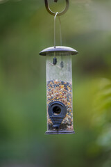 bird feeder hanging