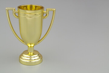 Gold trophy cup on gray background	