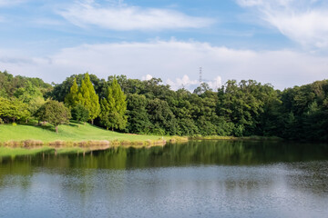 滋賀県大津市　瀬田公園の池のほとりで
