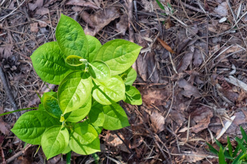 滋賀県大津市　瀬田公園を散歩
