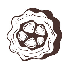 cacao food icon