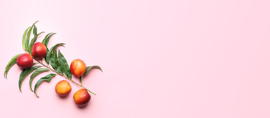 Fototapeta premium Fresh peaches on pink background with space for text