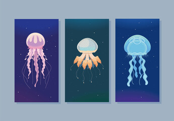 jellyfishes sea life banners © Stockgiu