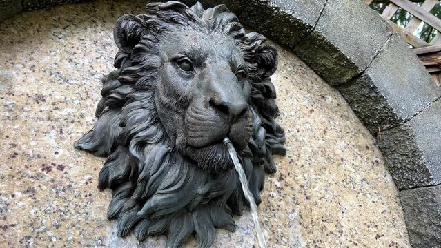 fountain Lion's head close-up it is iron on a stone wall from the mouth a jet of water flows sad eyes and a mane develops although in fact it is made of metal. High quality 4k footage