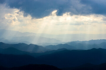 colorful dramatic sky with cloud at sunset. morning fog in dense tropical rainforest